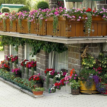 Albergo Trentino Moena Bagian luar foto