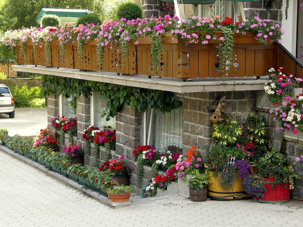 Albergo Trentino Moena Bagian luar foto